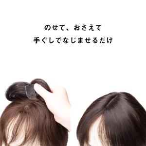 返品OK ピンなしウィッグ メルティ 部分 ウ...の詳細画像3