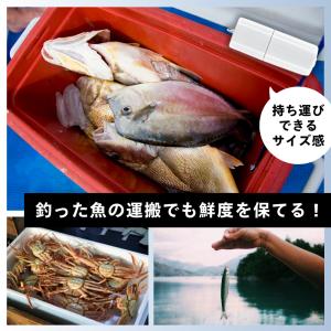 エアーポンプ ブクブク エアーポンプ水槽 釣り...の詳細画像2
