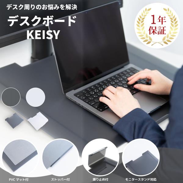 wisteria PCボード ZATOOL KEISY