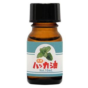 日本製 天然ハッカ油 (ハッカオイル) 精油 10ml｜relawer