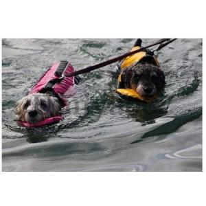 ペット用品 犬用ライフジャケット 浮き輪 わん...の詳細画像2