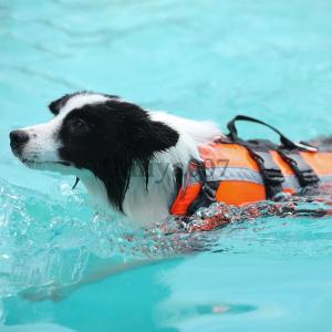 犬用ライフジャケット 犬用浮き輪 犬 ワンちゃ...の詳細画像2