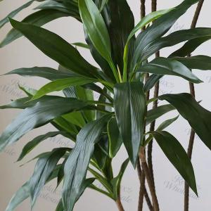フェイクグリーン 人工観葉植物 インテリア 大...の詳細画像3