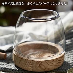 金魚鉢 おしゃれ 金魚 メダカ 水槽 室内 容...の詳細画像2
