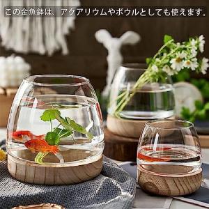 金魚鉢 おしゃれ 金魚 メダカ 水槽 室内 容...の詳細画像3