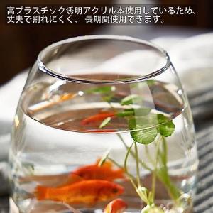 金魚鉢 おしゃれ 金魚 メダカ 水槽 室内 容...の詳細画像4