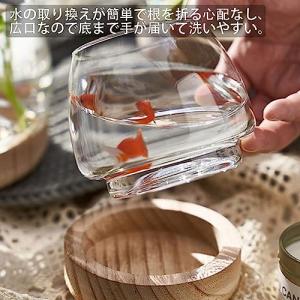 金魚鉢 おしゃれ 金魚 メダカ 水槽 室内 容...の詳細画像5