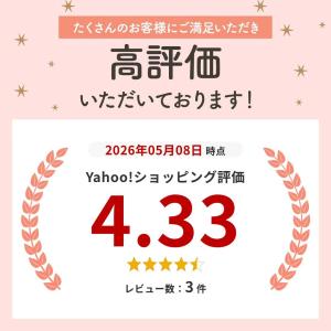 バッカン クーラーバッグ 釣りバッカン 釣りボ...の詳細画像1