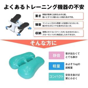 エアステッパー エアーステッパー プランク イ...の詳細画像1