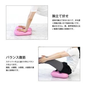 エアステッパー エアーステッパー プランク イ...の詳細画像3