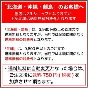 【バスソルト メリークリスマス】 クリスマス ...の詳細画像1