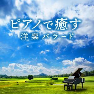 月光の森 CD 辻幹雄 オリジナルアルバム オリジナル曲 11弦
