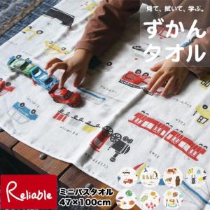 日本製 [ずかんタオル ミニバスタオル] 4重ガ...の商品画像