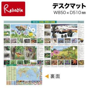 デスクマット 季節の図鑑&世界地図 ウオチ産業【mat2】｜リライアブル