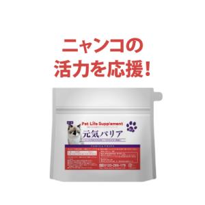 Yahoo Shopping