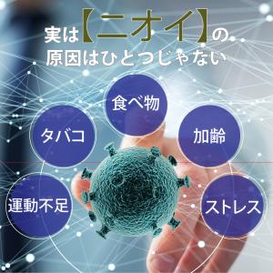 エチケットサプリ+ロイテリ菌&竹炭 シャンピニ...の詳細画像4