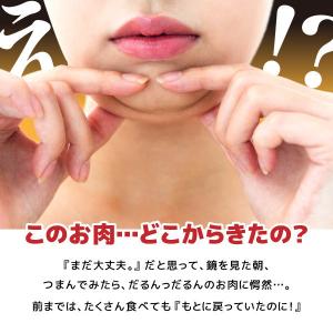 カルニチン+HMB&BCAA ダイエットサプリ...の詳細画像2