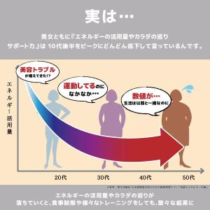 カルニチン+HMB&BCAA ダイエットサプリ...の詳細画像3