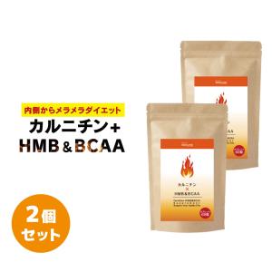 カルニチン+HMB＆BCAA 2個セット ダイエットサプリ 燃焼系ダイエット αリポ酸 ブラックジンジャー サラシアエキス 白インゲン デキストリン
