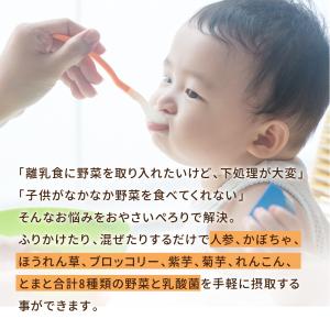 おやさいぺろり+乳酸菌 野菜 粉末 パウダー ...の詳細画像4