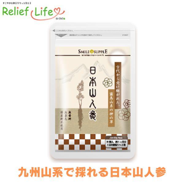 日本山人参31粒 ヒュウガトウキ ひゅうがとうき メール便送料無料 イヌトウキ 生活習慣 神の草 コ...
