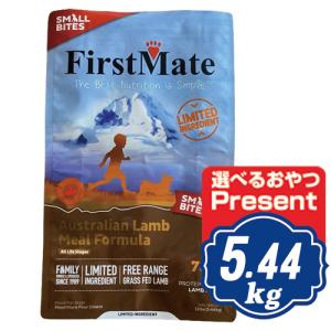 ペットカインド ドッグ グリーンラムトライプ 907g PetKind