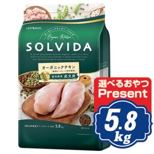 ソルビダ グレインフリー チキン 室内飼育成犬用 900g ソルビダ