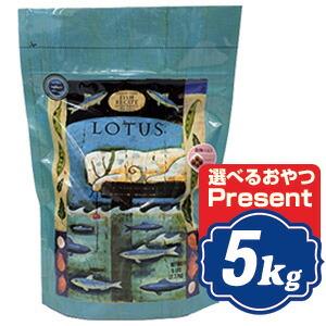 フィッシュ4 ドッグ サーディン 6kg fish4dogs コンプリート無添加