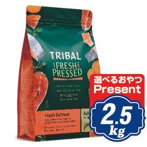 トライバル ドッグ フレッシュチキン 2.5kg TRIBAL ドッグフード