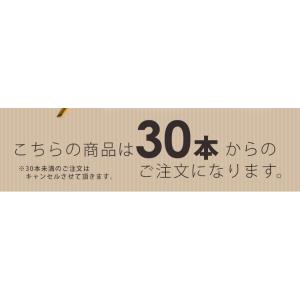ハンガー 滑らない すべらない 洗濯 30本セ...の詳細画像2