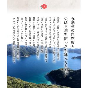 五島うどん 720g 5パックセット 大容量お...の詳細画像4