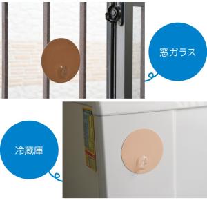 ピタッとハンガー 3色セット メール便送料無料...の詳細画像3