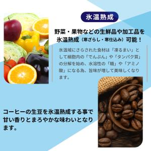 冷凍ストッカー RCY-577DW レマコム ...の詳細画像5