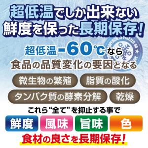 超低温冷凍庫 RSR-140 レマコム フロー...の詳細画像2