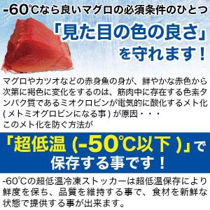 超低温冷凍庫 RSR-140 レマコム フロー...の詳細画像3
