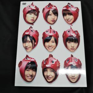 AKB48/逃した魚たちーシングルビデオコレク...の詳細画像2