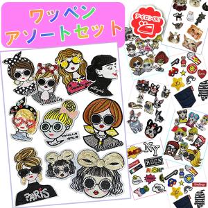 ワッペン アップリケ アソート アイロン 刺繍 スパンコール デコ わっぺん あっぷりけ 女の子 女性 ガールデザイン 爆買