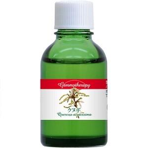 ジェモセラピー クヌギ