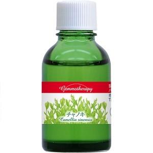 ジェモセラピー チャノキ