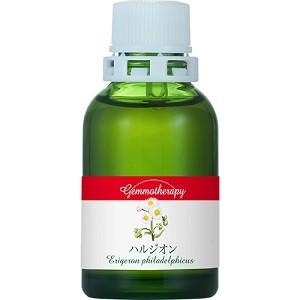 ジェモセラピー ハルジオン