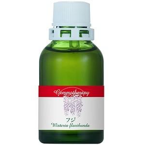 ジェモセラピー フジ