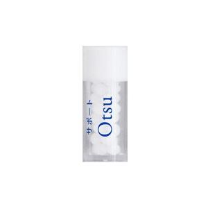 贅沢白海老プレミアム酵素茶漬け 50g ( 10食分入り ) GARNI 富山県産白