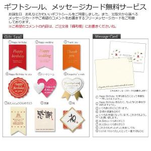 送料無料 ティラミル×96ホールの詳細画像2