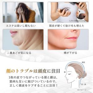 【雑誌・テレビ紹介】EMS美顔リフトケアで使う...の詳細画像1
