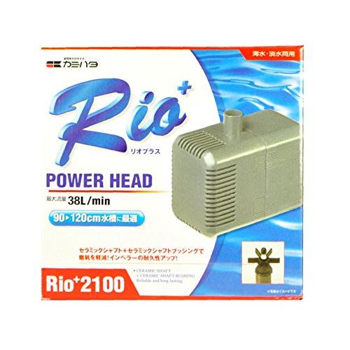 カミハタ Rio+2100 (60Hz)