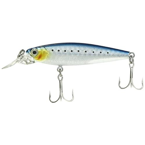 バスデイ(Bassday) レンジミノー 70S ハイトホロイワシ