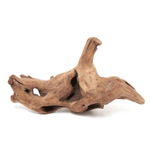 形状お任せ 煮込み済み 上質流木 雅〜みやび〜 Ｓサイズ（約１５〜２５ｃｍ） １本 アクアリウム テ...