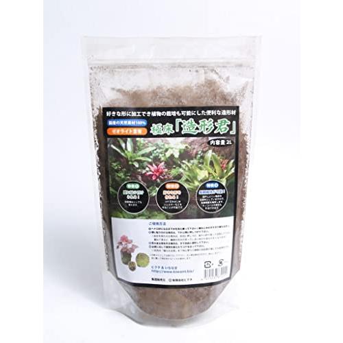 極床 造形君 2L 苔テラリウム パルダリウム