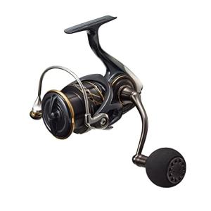 DAIWA（ダイワ） 22カルディア SW 5000D-CXH（CALDIA） : フィッシング