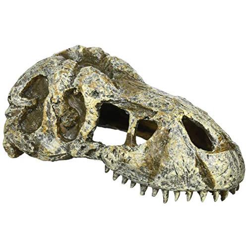 エキゾテラ GEX EXOTERRA T-REXスカルS PT2860 爬虫類用シェルター オーナメ...